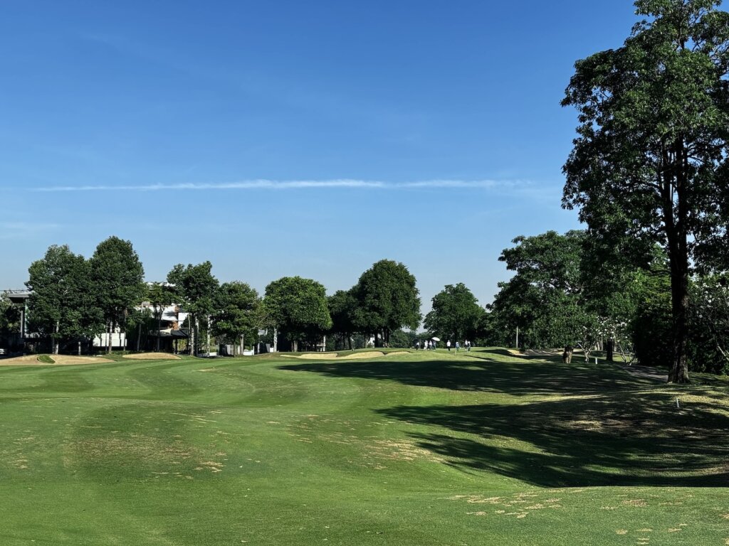 パンヤインドラ