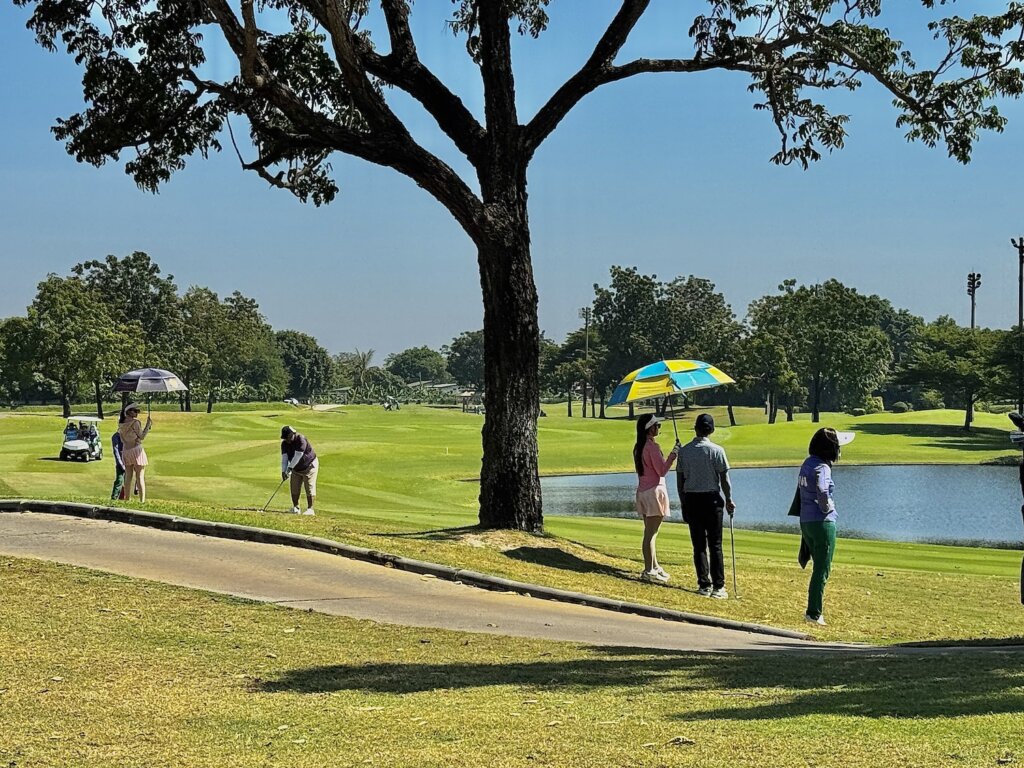 パンヤインドラキャディちゃん